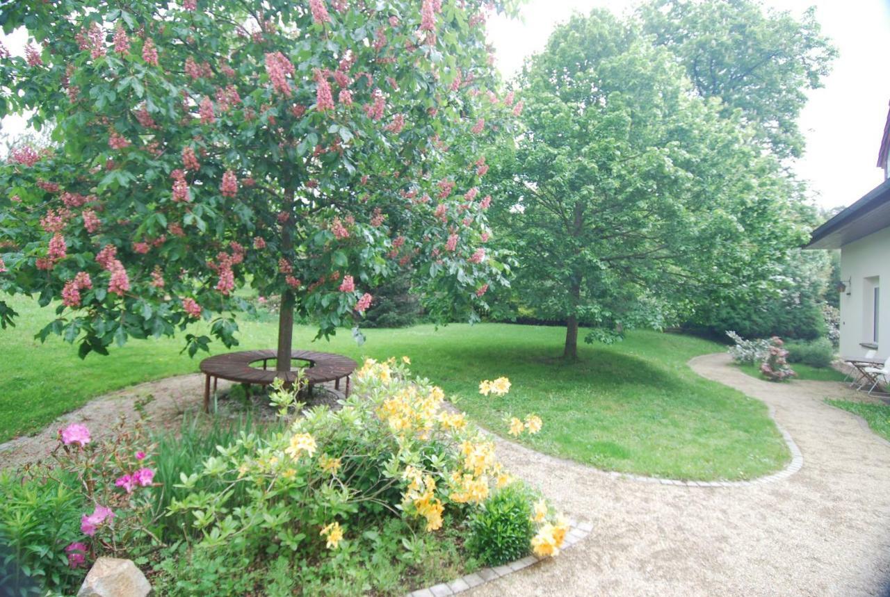 Ivanek Guest House Звиковске Подгради Экстерьер фото